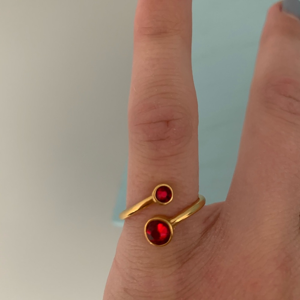 Alex and Ani Birthstone Ring